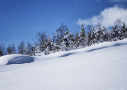 Ansicht Schneedetail