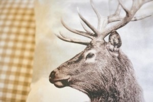 webflexen_doppelzimmer-23